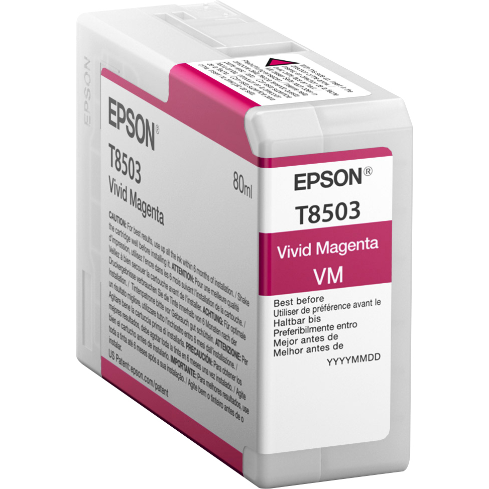  Epson sc-p800, C13T850300