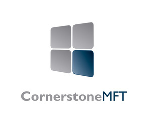 South River Cornerstone MFT South River Technologies - фото 1