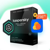 Kaspersky Small Office Security