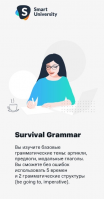 Купить Survival Grammar
