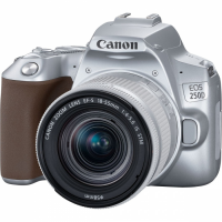 EOS 250D 18-55IS STM Silver