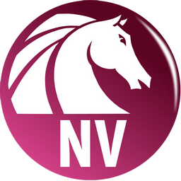 AKVIS Neon Video 1.2