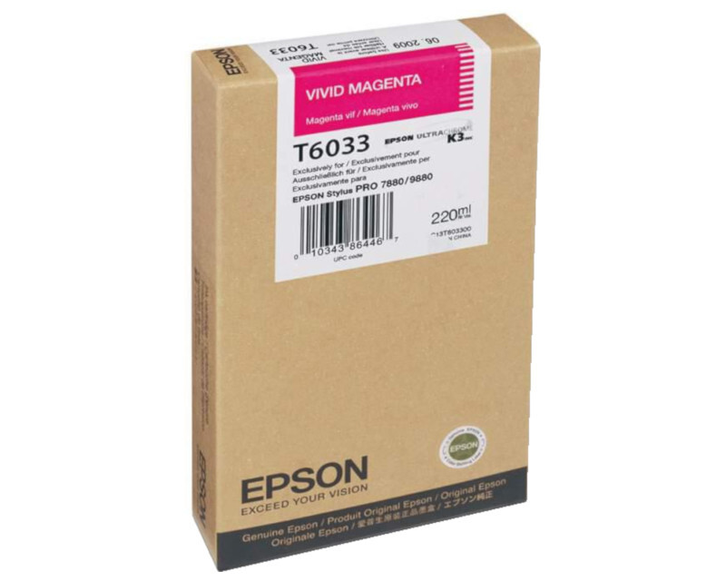   Epson C13T603300