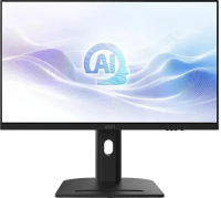 Моноблок MSI 1UM-088XRU 1 TБ