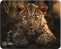 Cactus Игровой коврик Leopard CS-MP-D06S