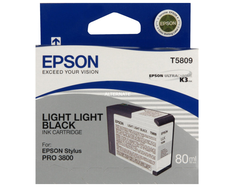 

Картридж светло-серый Epson C13T580900