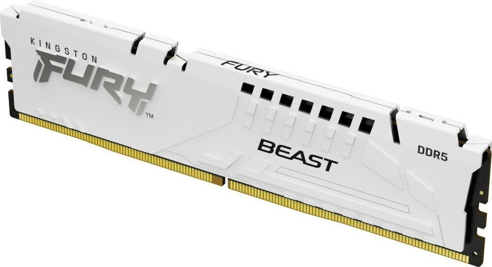 

Оперативная память Kingston FURY Beast RGB KF556C36BWE-32, RTL
